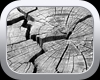 Through The Cracks