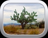 Trail Guide