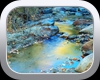 Agua Caliente