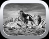 Alabama Hills