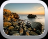 Bird Rock