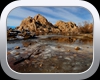Joshua Tree