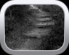Secret Stairway